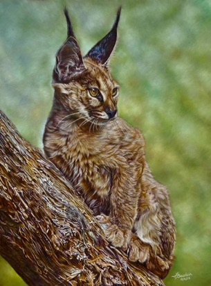 Sentry Watch -  73 hours 
Brown Pastelmat Board
19" x 14"
Ref: Anne Noël